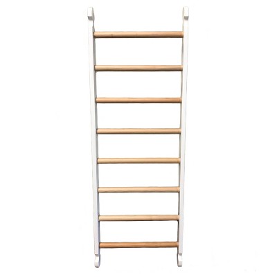 Little Partners Climbing Ladder