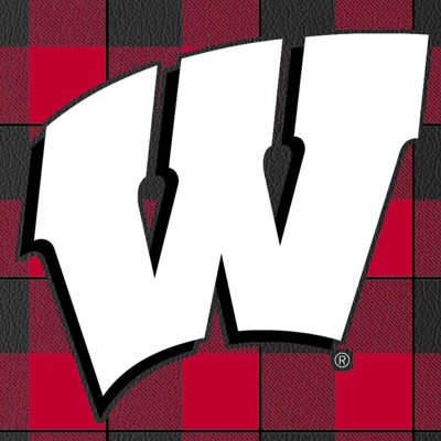 wisconsin badgers