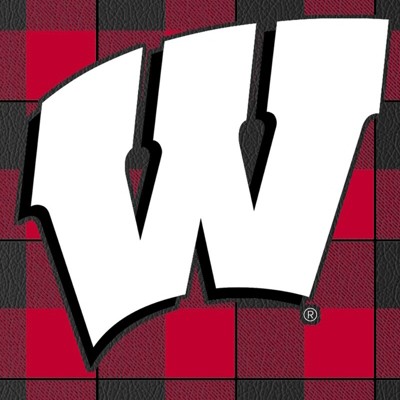 wisconsin badgers