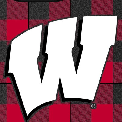 wisconsin badgers