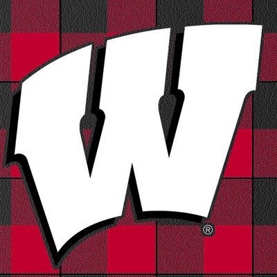 wisconsin badgers