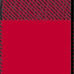wisconsin badgers