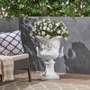 Syemin Outdoor Planters with Special Design, Novely Flower Planter Pot for Garden, Courtyard, Patio, White，18.75"*18.75"*28.25" - 3 of 4
