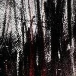 clear push pins bundle