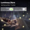 YEERSWAG Elegant Princess Bed Canopy Bed Curtain Nets with Luminous Stars Lights For Single to King Size - 3 of 4