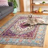 Monaco MNC246 Power Loomed Area Rug  - Safavieh - 3 of 4