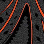 san francisco giants