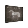 Trademark Fine Art - Ryan Fowler 'White Horse With Words' Canvas Art - 4 of 4