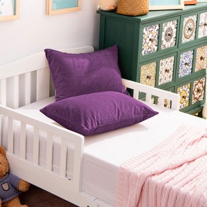 2 Pack Zippered Velvet Toddler Pillowcases, Cozy Luxury Plush Travel Pillow Cases - NTBAY - 1 of 4