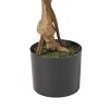 Syemin Artificial Plants Artificial Ficus Tree Dense Full Bodied Leaves Natural Branch Shape Durable For Indoor Space, Green, 49.25"*7"*7" - 3 of 4