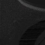 crimson and white football fan