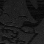 crimson and white football fan