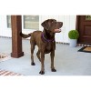 Country Brook Petz Heavy Duty Nylon Martingale Dog Collar with Deluxe Buckle - 30+ Vibrant Color Options - 4 of 4