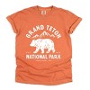 Simply Sage Market Vintage Grand Teton National Park Garment Dyed Tee - 2 of 4