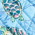 sea turtles and coral