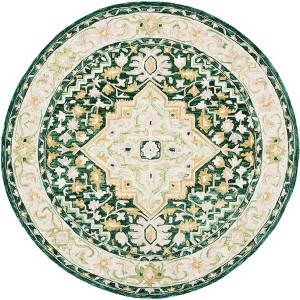 Aspen APN705 Hand Tufted Indoor Rugs - Safavieh - 1 of 4