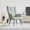 vidaXL Chic and Elegant Relaxing Chair - Soft Velvet Upholstery in Light Gray - Steel Framed Armchair for Living Room, Bedroom, Lounge Area - 2 of 4