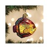 Old World Christmas Blown Glass Ornament for Christmas Tree, Discus Fish - 4 of 4