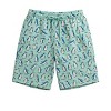 Mens Quick-Dry Swim Shorts Bathing Suits - 4 of 4