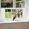 DoCred Cat Door for Window,Fits 23"-34"/ 35"-46" Width Windows, Aluminum Frame Windows Cat Door Insert, Quick Install Pet Doors for Cats & Small Dogs - 4 of 4