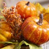 Evergreen Pumpkin and Berry Artifical with Sentiments Table Decor - 3 of 3