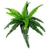 Northlight Potted Artificial Long Green Boston Fern Plant - 15.75" - 3 of 4