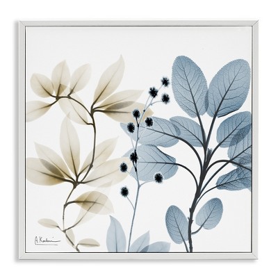 Stupell Industries Modern Herb Sprigs, 24" x 24"