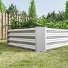 Silver Metal Raised Bed Garden 6×3×1ft for Flower Planters, Vegetables Herb - 2 of 4