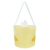 Easter Chick Decorative Basket - Spritz™ - image 2 of 2