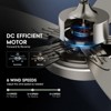 Siljoy 42-in Nickel Ceiling Fan with Nickel or Oak Color Blades Ceiling Fan With Light-Remote Included - 4 of 4