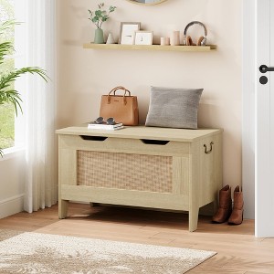 Storage Bench with Safety Hinge, Toy Chest with Flip Top for Playroom and Living Room - 1 of 4
