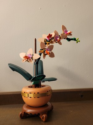 Guest review image 1 of 1, zoom in