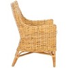 Cristen Rattan Accent Chair with Cushion  - Safavieh - 3 of 4