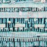 turquoise/multi
