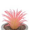 Unique Bargains Artificial Plants Mini Air in Pulp Plastic Red 2.36"x2.36"x3.54" 1 Pcs - 4 of 4