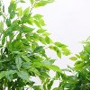 Artificial Ficus Tree, Large Artificial Ficus Tree in Pot, Large Artificial Plants with Realistic Texture for Foyer, Living Room, Bedroom, Decoration - 4 of 4