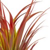 Northlight Real Touch™️ Green and Red Artificial Dracaena Potted Plant - 54" - 3 of 4