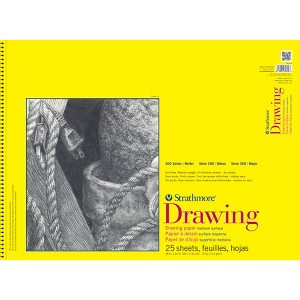Strathmore 300 Series Drawing Pad, Top Wire Binding, 25 Sheet, 18x24 inch, 1 Count - 1 of 1