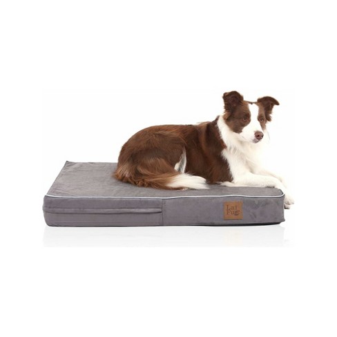 Therapeutic Dog Bed Liner, Dog Beds