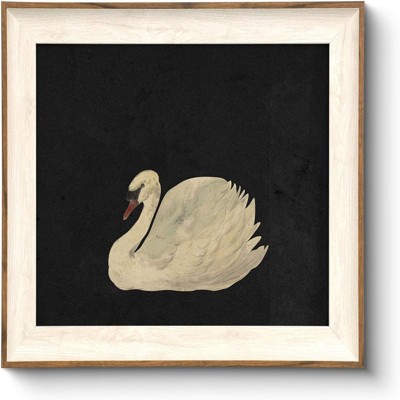 BRINJOY Framed Swan Canvas Wall Art - Vintage Animal Print for Living Room & Bathroom Decor, 12x10 Inch Elegant Gift for Friends & Family