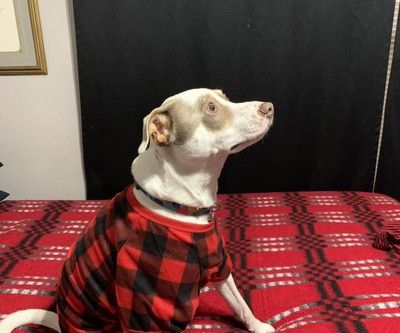 Buffalo Check Matching Family Dog Pajamas - Wondershop™ - Black/Red - S