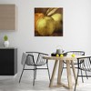 Stupell Industries Vintage Apples Close Up Canvas Art - 3 of 4