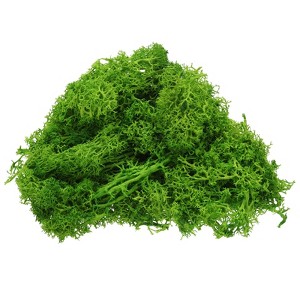 Unique Bargains Decoration Craft Artificial Plants Dried Preserved Reindeer Moss 4 OZ - 1 of 4