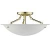 Livex Lighting Oasis 3 - Light Flush Mount in  Polished Brass - 4 of 4