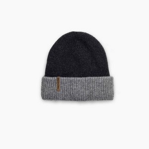 Turtle Fur Adult Whitman Wool Winter Hat - 1 of 2