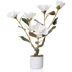 1/2 Pc Artificial Magnolia & Orchid Trees in Pot, PEVA Polyester Faux Plants with White Planter, 24/31/37" for Home Office Decor - 1 of 4
