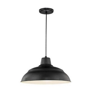Millennium Lighting R Series 1 - Light Pendant in  Satin Black - 1 of 1