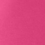 raspberry sorbet