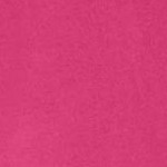 raspberry sorbet