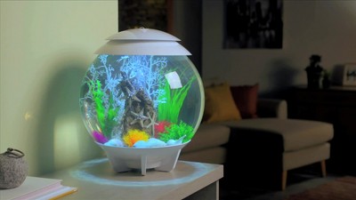 Small Green Plastic Aquarium Plant Set with Ceramic Base